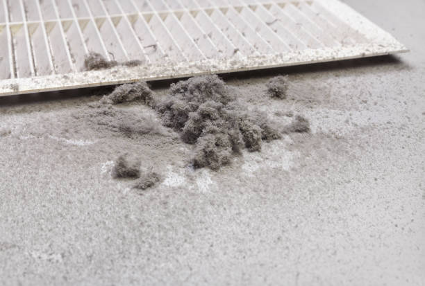 Best Air Vent Cleaning Services  in Bement, IL