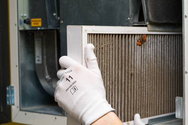 Best HVAC Maintenance and Cleaning  in Bement, IL