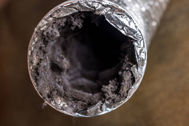 Best Home Air Vent Cleaning  in Bement, IL