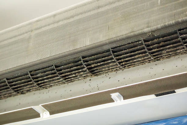 Best Air Duct Cleaning Near Me  in Bement, IL